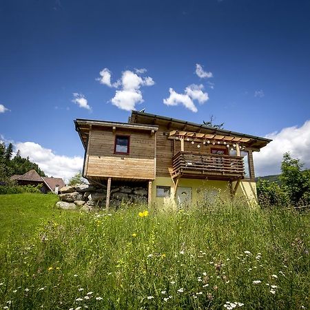 Gaestehaus Biobauernhof Mandl Murau Luaran gambar