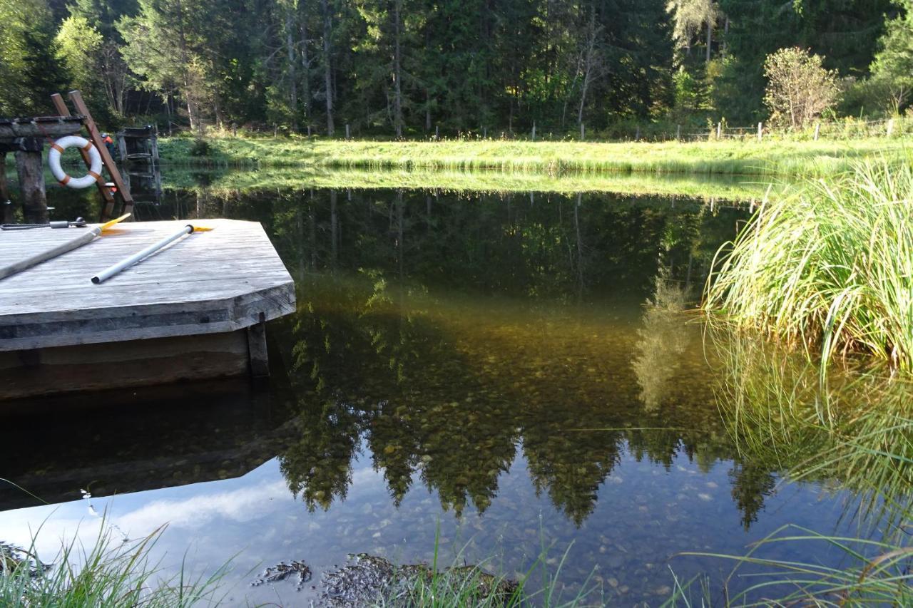 Gaestehaus Biobauernhof Mandl Murau Luaran gambar