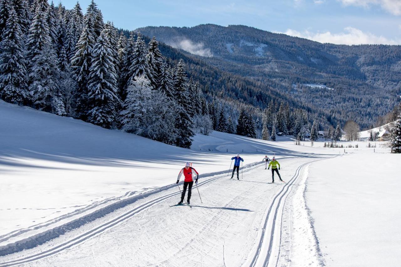 Gaestehaus Biobauernhof Mandl Murau Luaran gambar