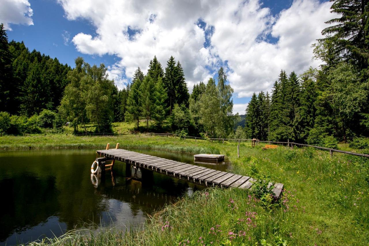 Gaestehaus Biobauernhof Mandl Murau Luaran gambar